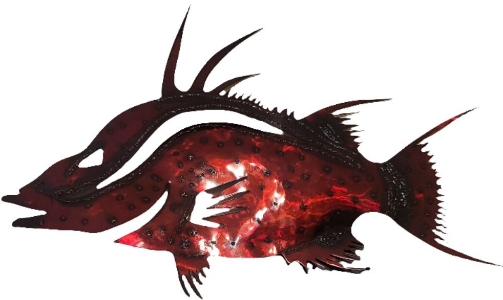 Hogfish